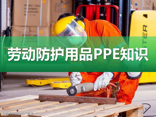 勞動防護用品（PPE）知識詳解與選用指南